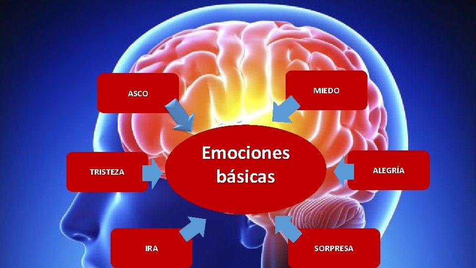 MIEDO ASCO Emociones básicas TRISTEZA IRA ALEGRÍA SORPRESA 