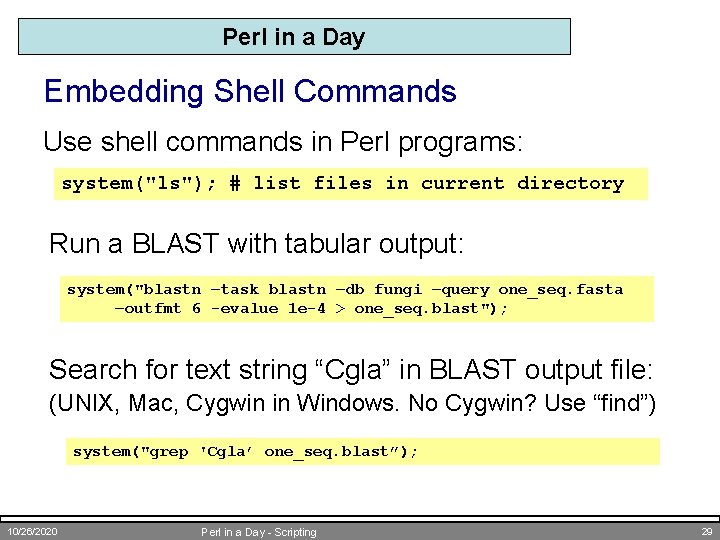 Perl in a Day Embedding Shell Commands Use shell commands in Perl programs: system("ls");