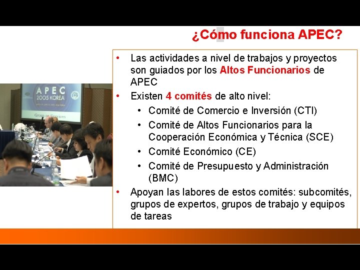 ¿Cómo funciona APEC? • Las actividades a nivel de trabajos y proyectos • • ¿Cómo funciona APEC? • Las actividades a nivel de trabajos y proyectos • •