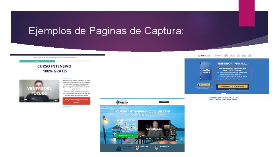 Ejemplos de Paginas de Captura: 