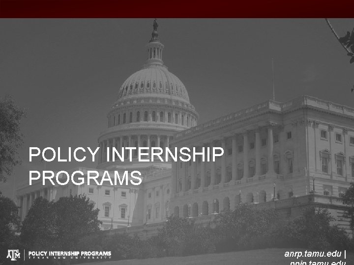 POLICY INTERNSHIP PROGRAMS anrp. tamu. edu | 