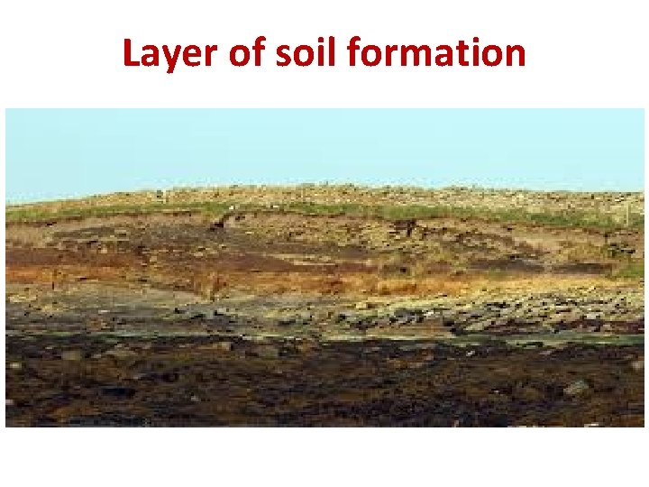 Layer of soil formation 