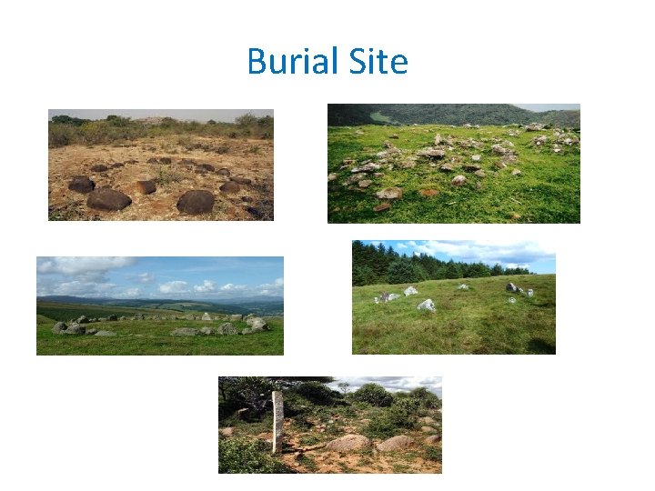 Burial Site 