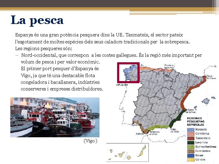 La pesca Espanya és una gran potència pesquera dins la UE. Tanmateix, el sector