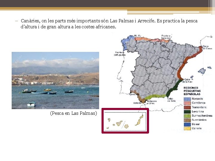 − Canàries, on les parts més importants són Las Palmas i Arrecife. Es practica