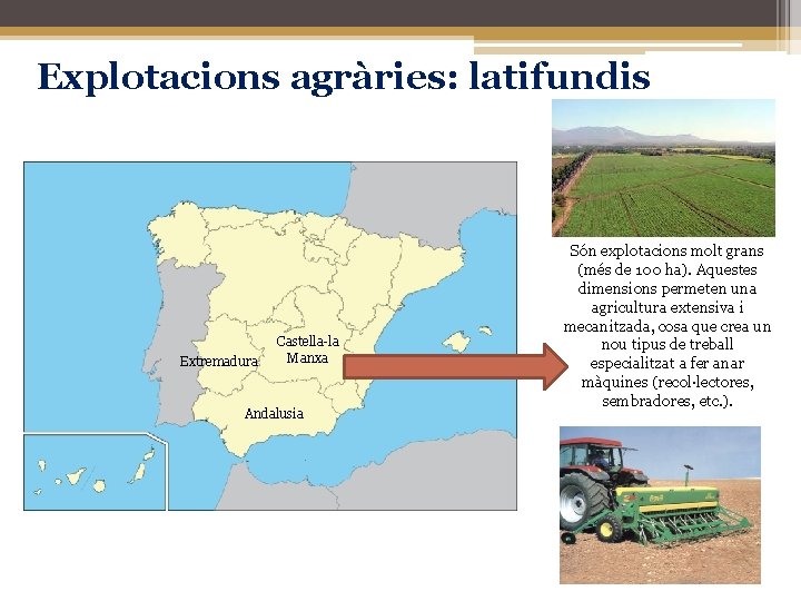 Explotacions agràries: latifundis Extremadura Castella-la Manxa Andalusia Són explotacions molt grans (més de 100