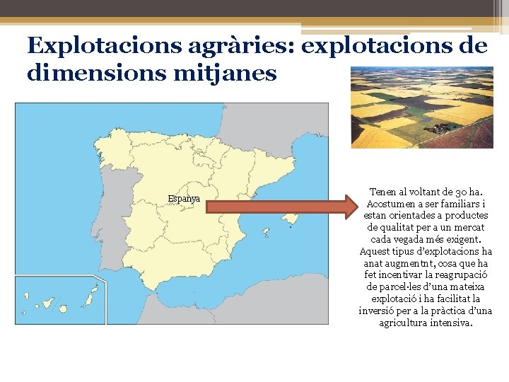 Explotacions agràries: explotacions de dimensions mitjanes Espanya Tenen al voltant de 30 ha. Acostumen