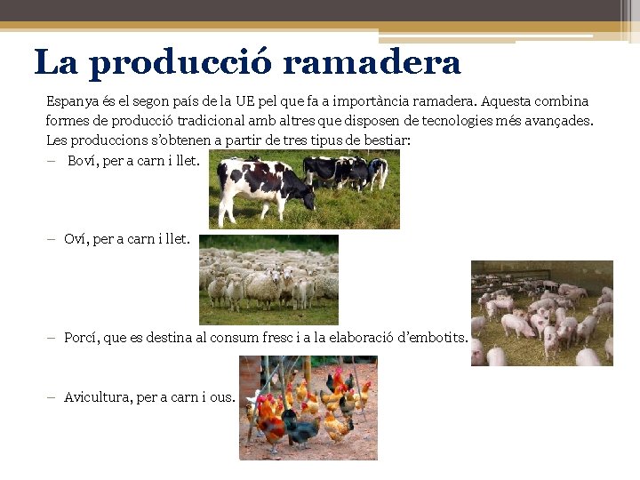 La producció ramadera Espanya és el segon país de la UE pel que fa