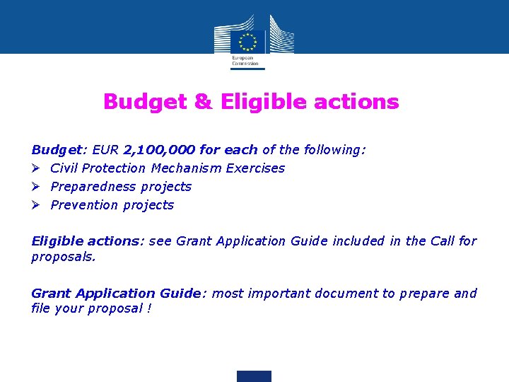 Budget & Eligible actions Budget: EUR 2, 100, 000 for each of the following: