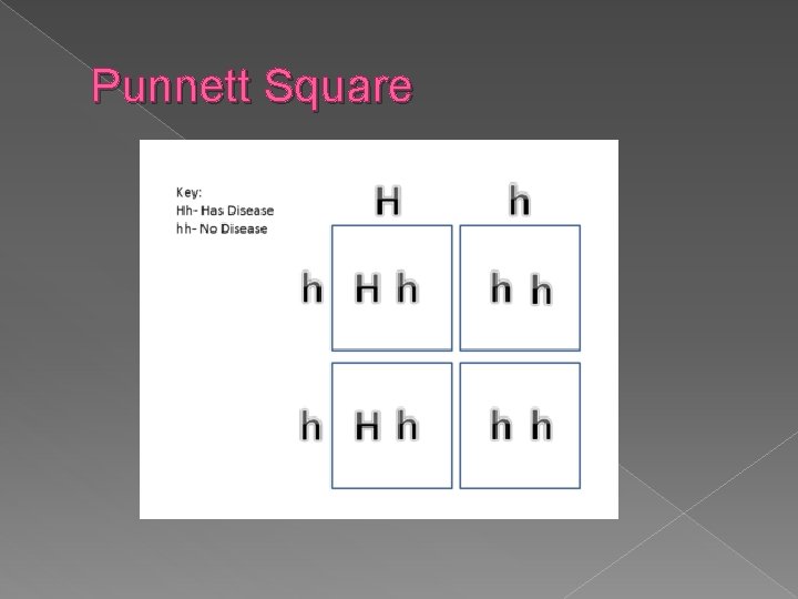 Punnett Square 