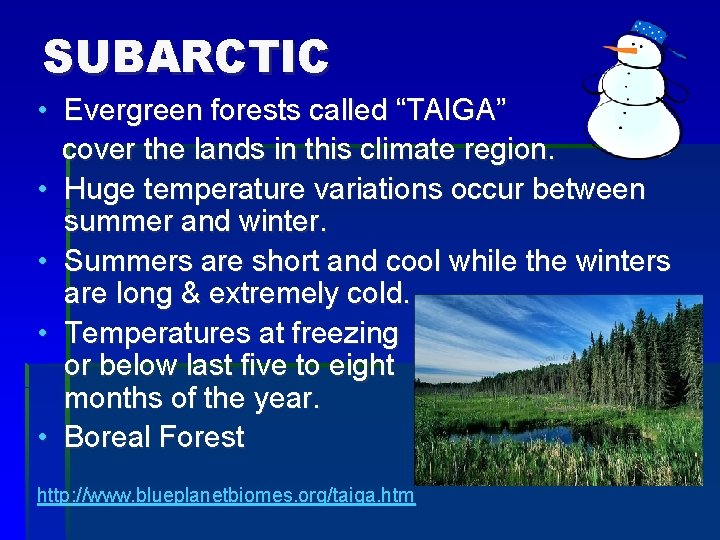 SUBARCTIC • Evergreen forests called “TAIGA” cover the lands in this climate region. •