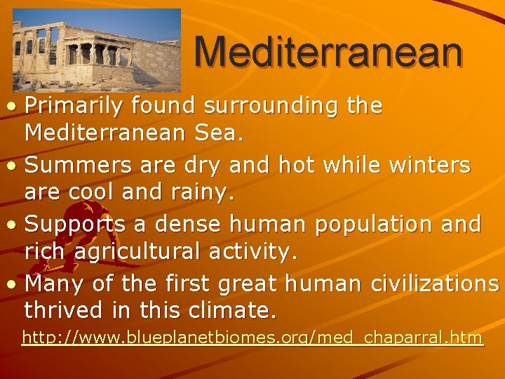 Mediterranean • Primarily found surrounding the Mediterranean Sea. • Summers are dry and hot