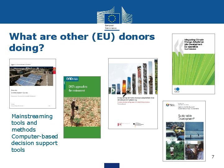 What are other (EU) donors doing? Mainstreaming tools and methods Computer-based decision support tools