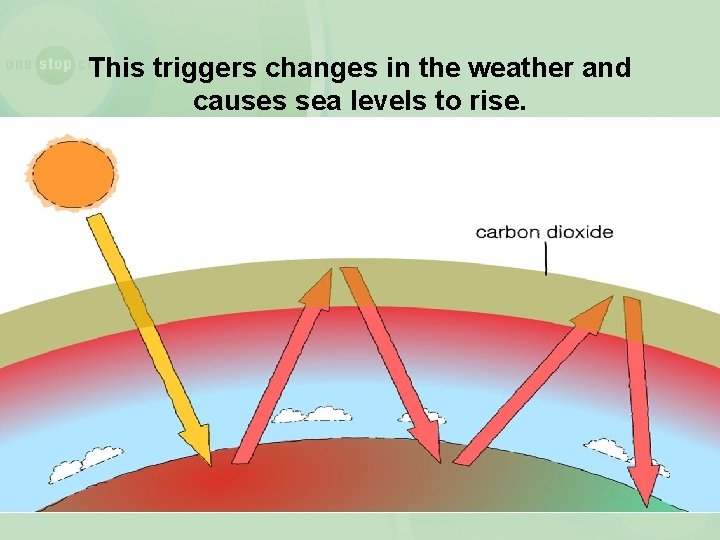 This triggers changes in the weather and causes sea levels to rise. 