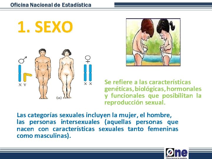 1. SEXO Se refiere a las características genéticas, biológicas, hormonales y funcionales que posibilitan