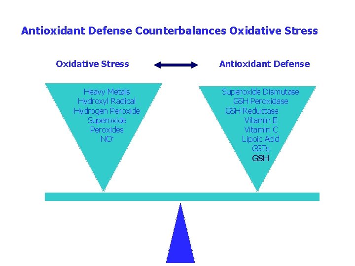 Antioxidant Defense Counterbalances Oxidative Stress Heavy Metals Hydroxyl Radical Hydrogen Peroxide Superoxide Peroxides NO-