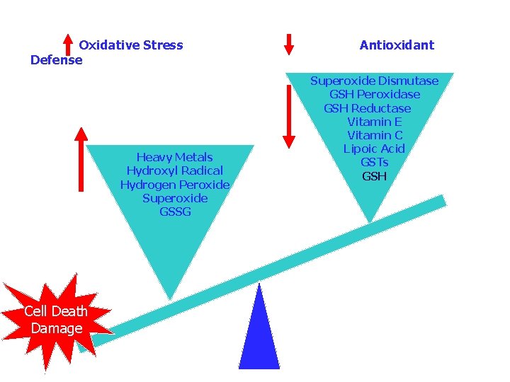 Oxidative Stress Defense Heavy Metals Hydroxyl Radical Hydrogen Peroxide Superoxide GSSG Cell Death Damage