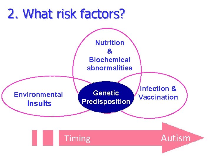 2. What risk factors? Nutrition & Biochemical abnormalities Environmental Insults Genetic Predisposition Timing Infection