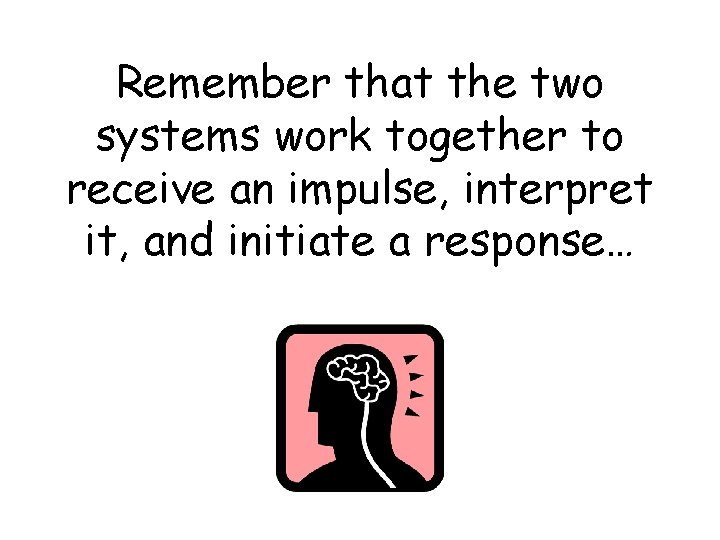Remember that the two systems work together to receive an impulse, interpret it, and