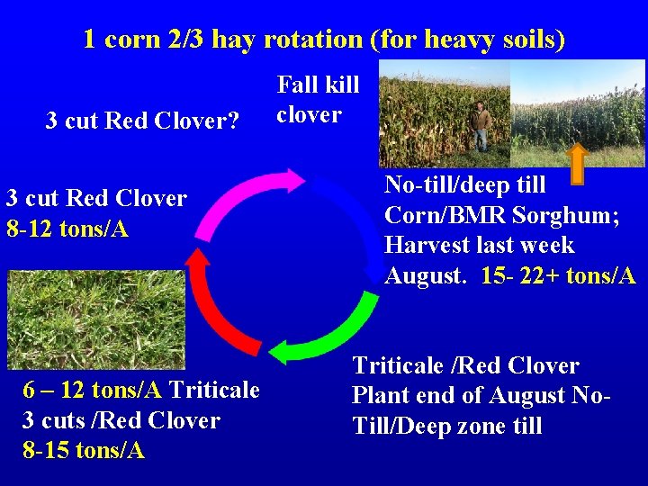 1 corn 2/3 hay rotation (for heavy soils) 3 cut Red Clover? 3 cut
