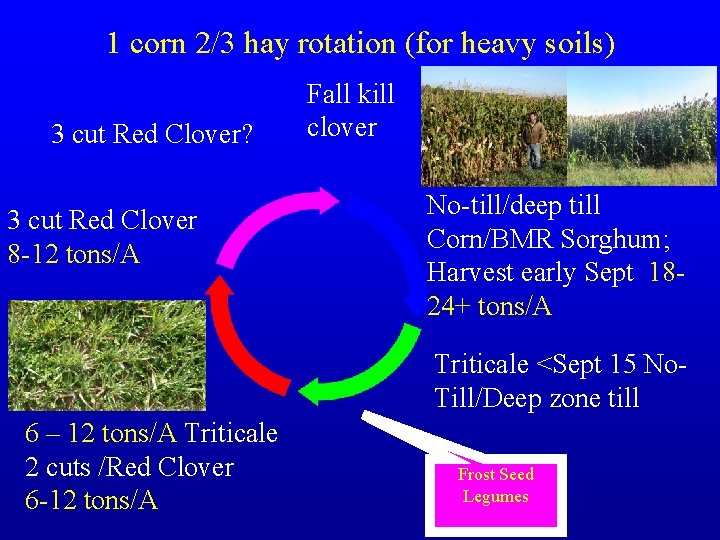 1 corn 2/3 hay rotation (for heavy soils) 3 cut Red Clover? 3 cut