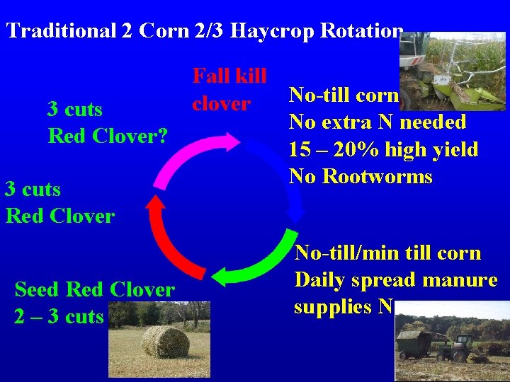 Traditional 2 Corn 2/3 Haycrop Rotation 3 cuts Red Clover? 3 cuts Red Clover