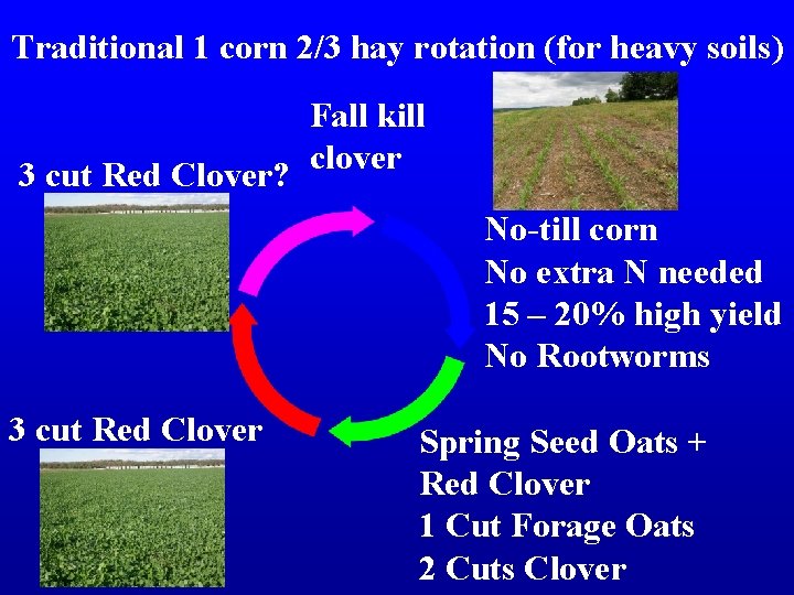 Traditional 1 corn 2/3 hay rotation (for heavy soils) Fall kill clover 3 cut