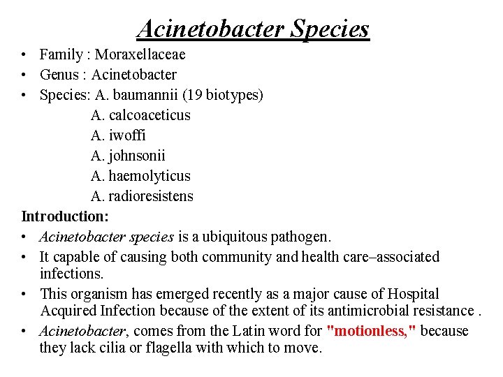 Acinetobacter Species • Family : Moraxellaceae • Genus : Acinetobacter • Species: A. baumannii