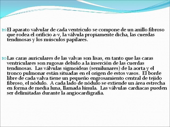  El aparato valvular de cada ventrículo se compone de un anillo fibroso que