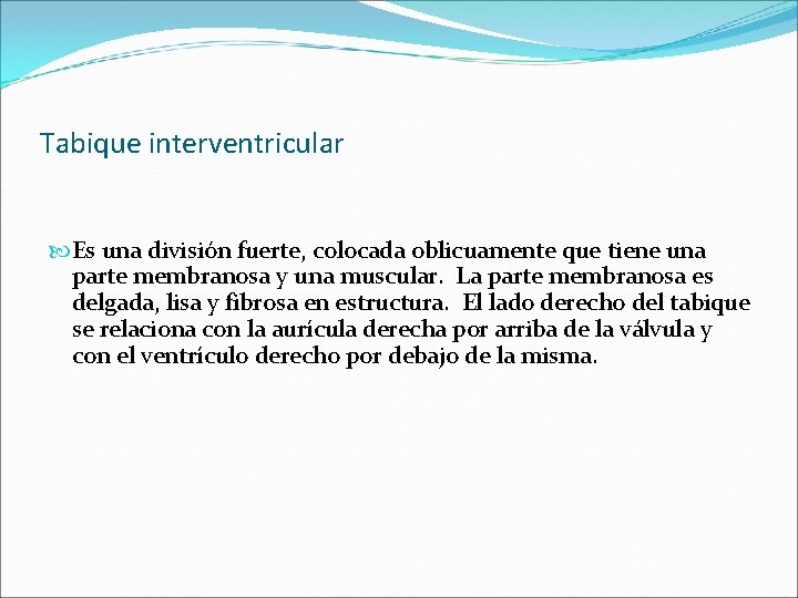 Tabique interventricular Es una división fuerte, colocada oblicuamente que tiene una parte membranosa y