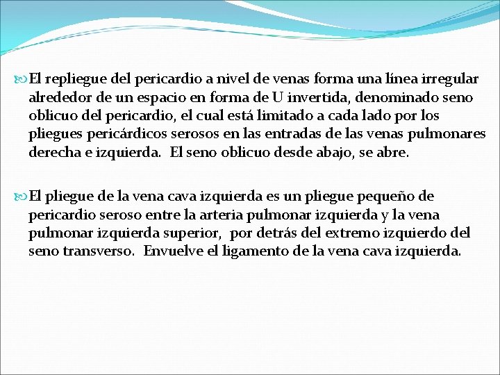  El repliegue del pericardio a nivel de venas forma una línea irregular alrededor