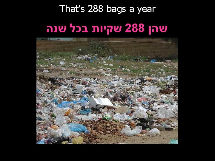 That's 288 bags a year שקיות בכל שנה 288 שהן 