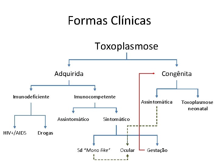 Formas Clínicas Toxoplasmose Adquirida Imunodeficiente Imunocompetente Assintomático HIV+/AIDS Congênita Assintomática Sintomático Drogas Sd “Mono