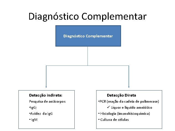 Diagnóstico Complementar Detecção indireta: Pesquisa de anticorpos • Ig. G; Detecção Direta • PCR