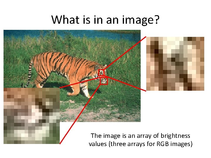 What is in an image? The image is an array of brightness values (three