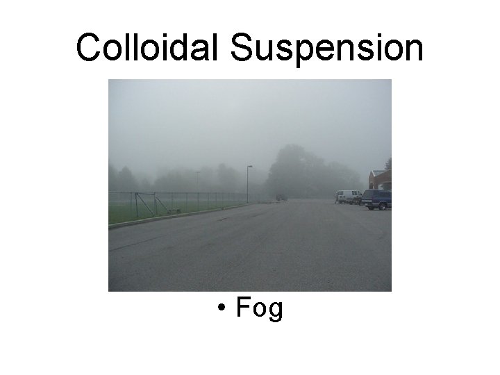 Colloidal Suspension • Fog 