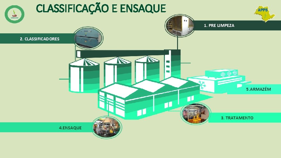 CLASSIFICAÇÃO E ENSAQUE 1. PRE LIMPEZA 2. CLASSIFICADORES 5. ARMAZÉM 3. TRATAMENTO 4. ENSAQUE