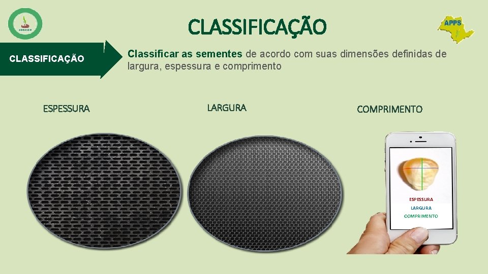 CLASSIFICAÇÃO ESPESSURA Classificar as sementes de acordo com suas dimensões definidas de largura, espessura