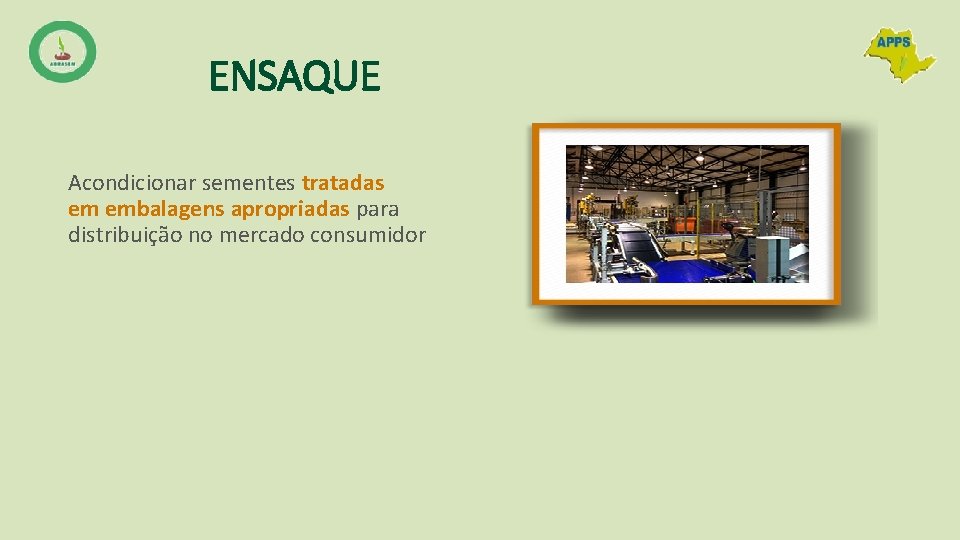 ENSAQUE Acondicionar sementes tratadas em embalagens apropriadas para distribuição no mercado consumidor 