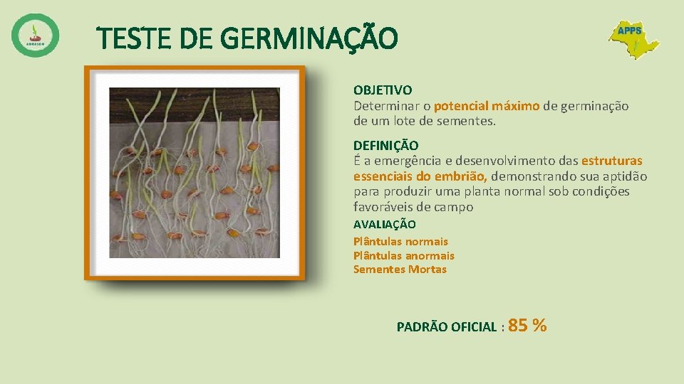 TESTE DE GERMINAÇÃO OBJETIVO Determinar o potencial máximo de germinação de um lote de