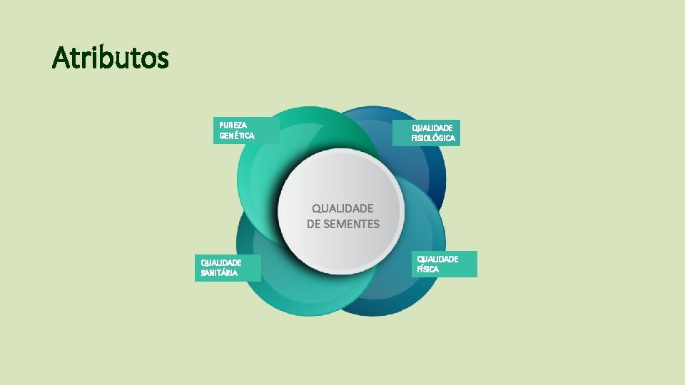 Atributos PUREZA GENÉTICA QUALIDADE FISIOLÓGICA QUALIDADE DE SEMENTES QUALIDADE SANITÁRIA QUALIDADE FÍSICA 