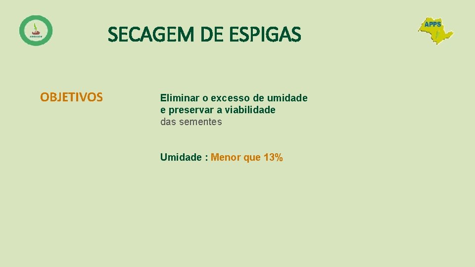 SECAGEM DE ESPIGAS OBJETIVOS Eliminar o excesso de umidade e preservar a viabilidade das