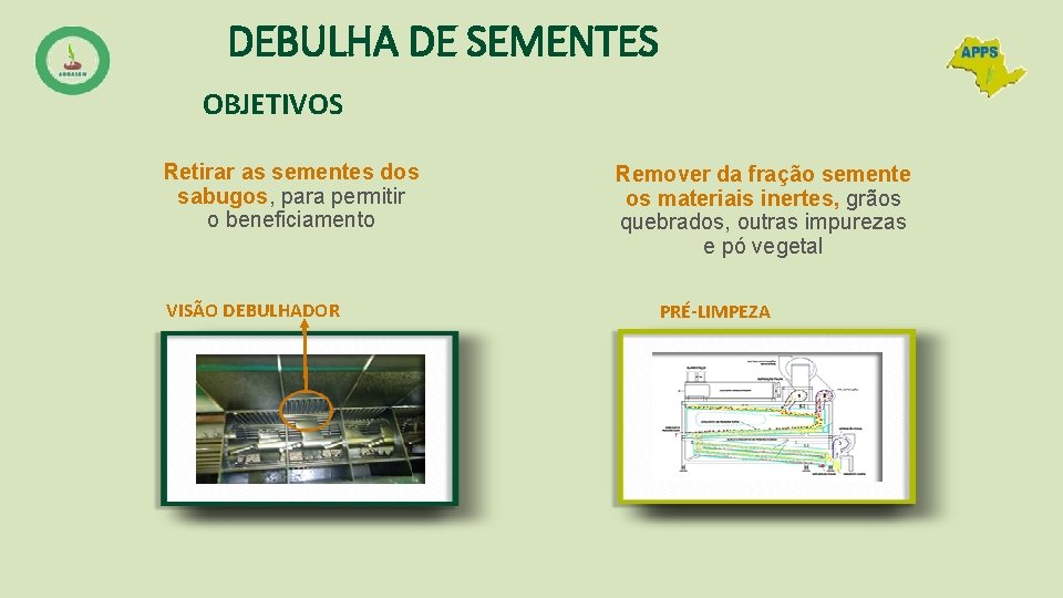 DEBULHA DE SEMENTES OBJETIVOS Retirar as sementes dos sabugos, para permitir o beneficiamento VISÃO