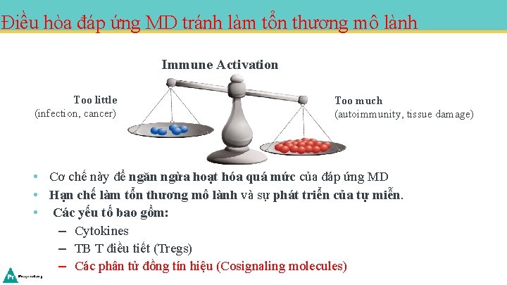 Điều hòa đáp ứng MD tránh làm tổn thương mô lành Immune Activation Too