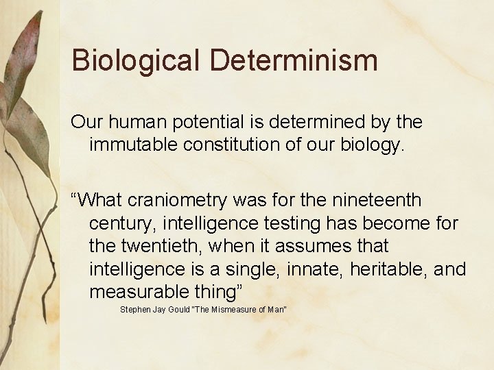Intelligence Craniometry Psychometric Testing Broca and his school