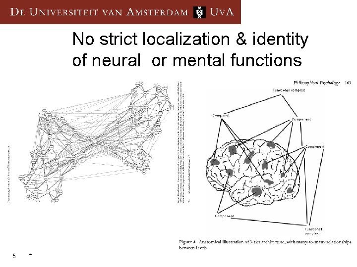 No strict localization & identity of neural or mental functions 5 * 