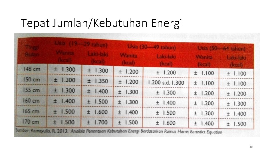 Tepat Jumlah/Kebutuhan Energi 18 Tepat Jumlah/Kebutuhan Energi 18