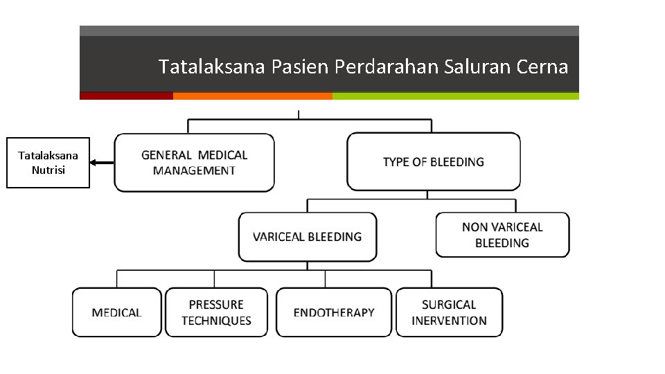 Tatalaksana Pasien Perdarahan Saluran Cerna Tatalaksana Nutrisi Tatalaksana Pasien Perdarahan Saluran Cerna Tatalaksana Nutrisi