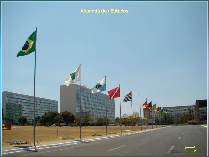 Alameda dos Estados 