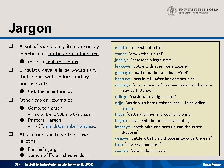 Jargon q A set of vocabulary items used by members of particular professions ● Jargon q A set of vocabulary items used by members of particular professions ●